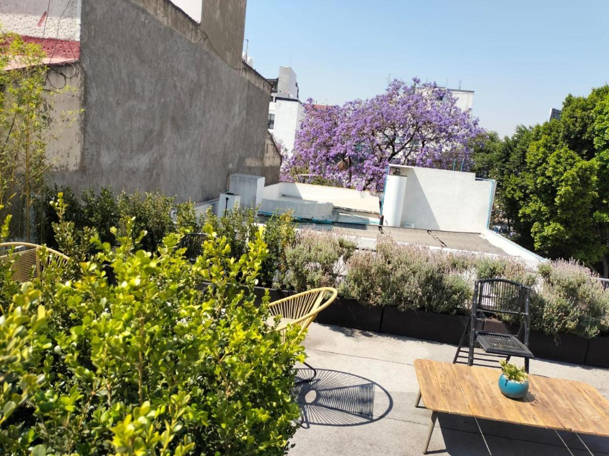 Casa Pani Hotel Mexico City Ngoại thất bức ảnh