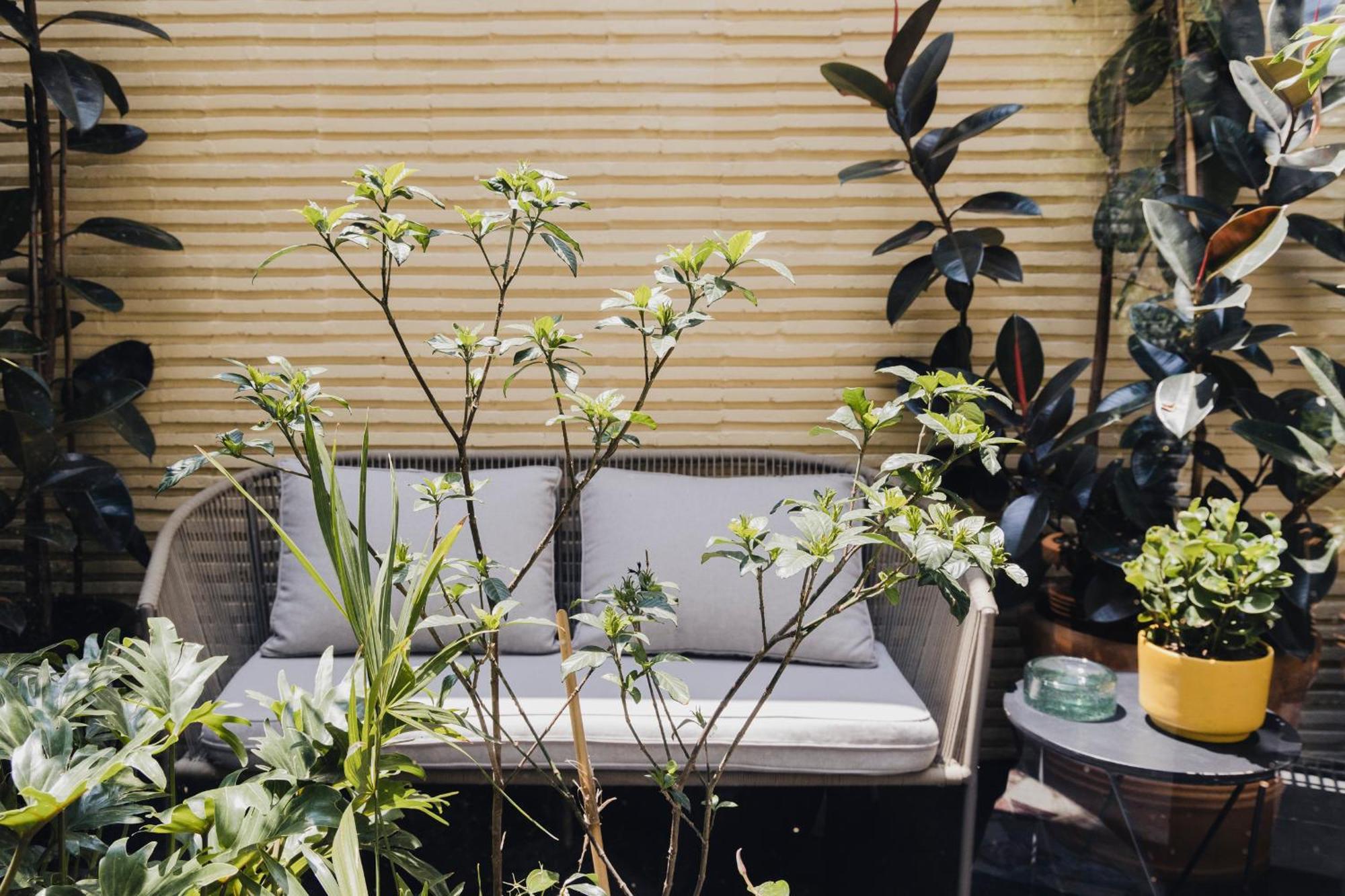 Casa Pani Hotel Mexico City Ngoại thất bức ảnh